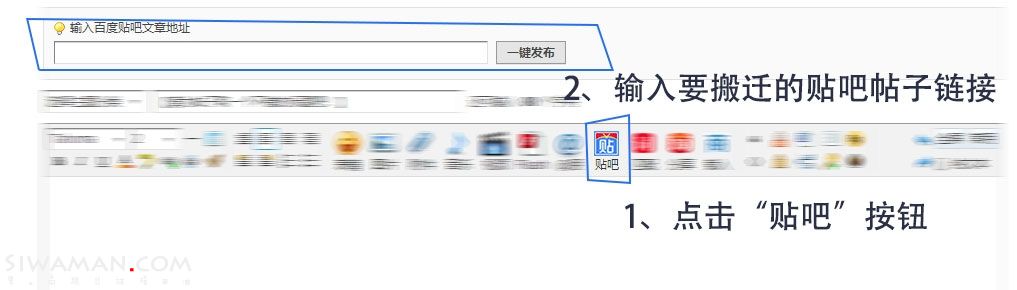 55661.jpg