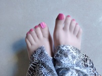 ����������[14P]