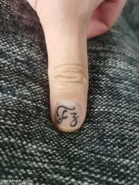 ����Ϊ����ȡһ�������ı���ɣ���[1P]