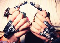 �ҵĳ�������[1P]