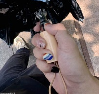 ��һ�ھ���Ҫ����[6P]