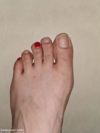 ����Ϳ�ĺ�ɫָ����[3P]