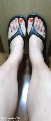 ����ϲ���Ľż�[1P]