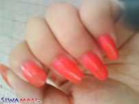 ���ա��Ͳ�����...[5P]