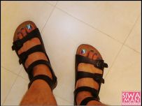 ���������ɫ+�������ϡ�9�����³�¯����P2 ����7����ͼ����