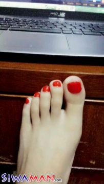 �ʺ�ɫָ��������[3P]