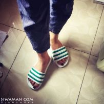 �»���ɫĥɰָ����[5P]